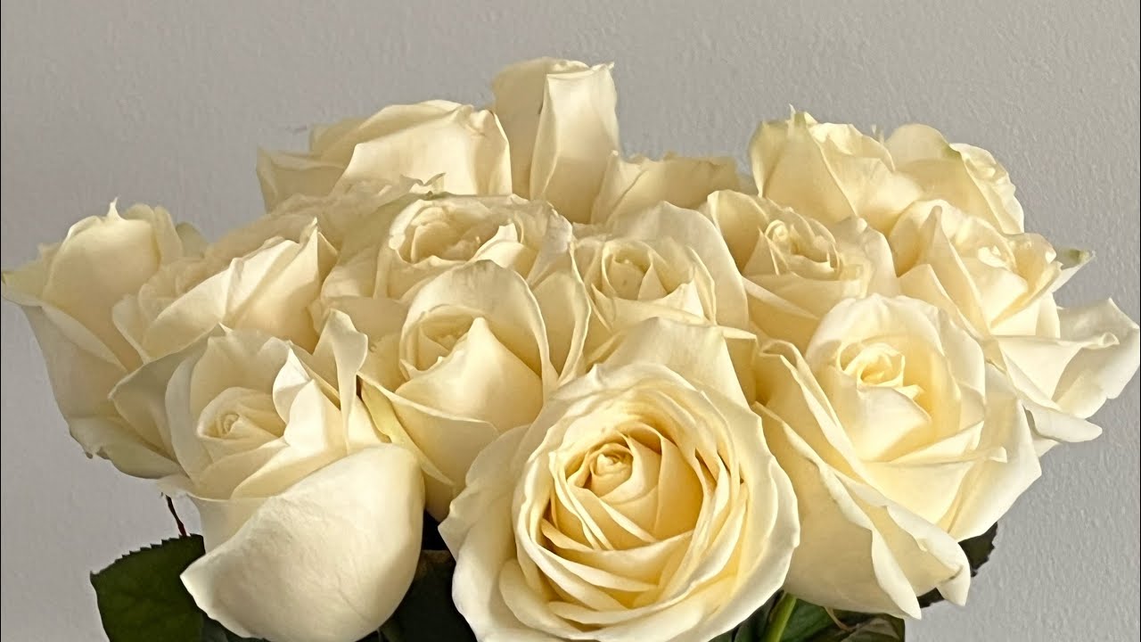 Лучший урок Английского для вас ☺️❤️