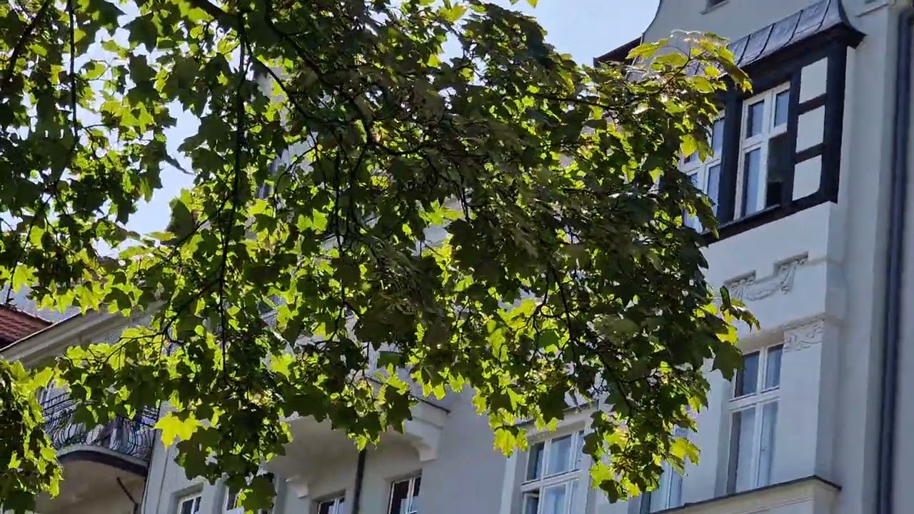 The beauty of Upper Silesia (Gliwice - June 2022)