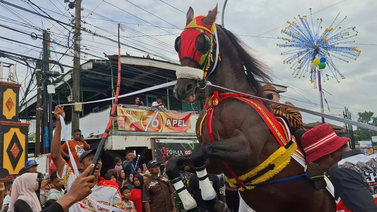 34 KUDA TERBAIK ADA DISINI ‼️ ARAK ARAKAN KUDA JINGKRAK DESA KARANGDUWUR