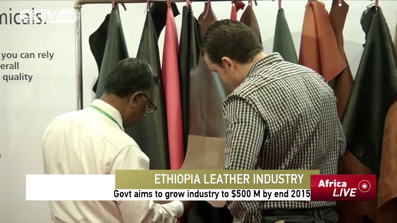 Ethiopia Govt Aims to Grow Leather Industry to $500 M by end 2015