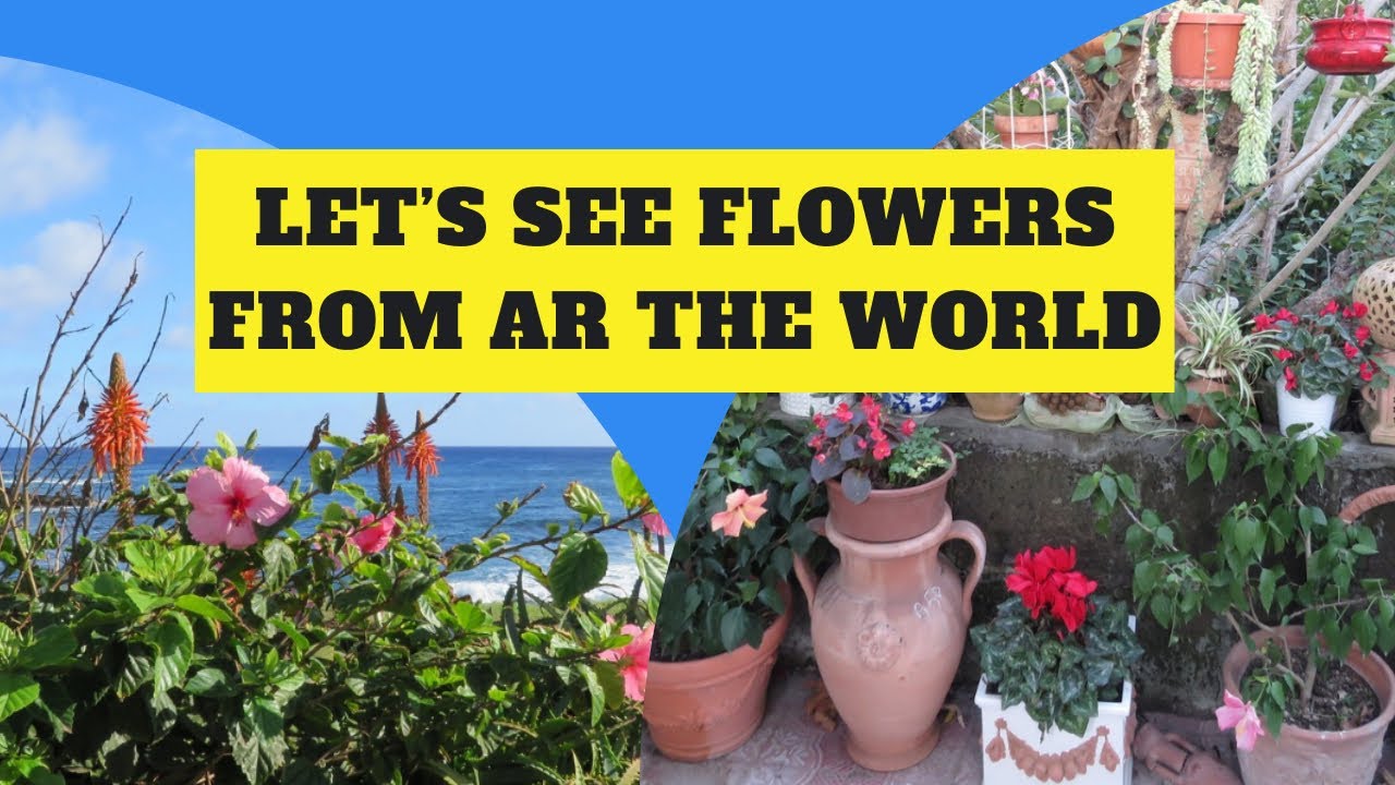 Flowers around the world!