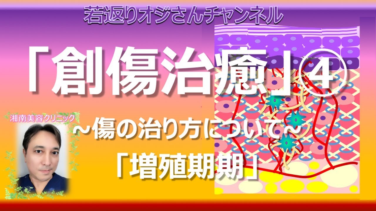創傷治癒④ ~傷の治り方について~「増殖期」