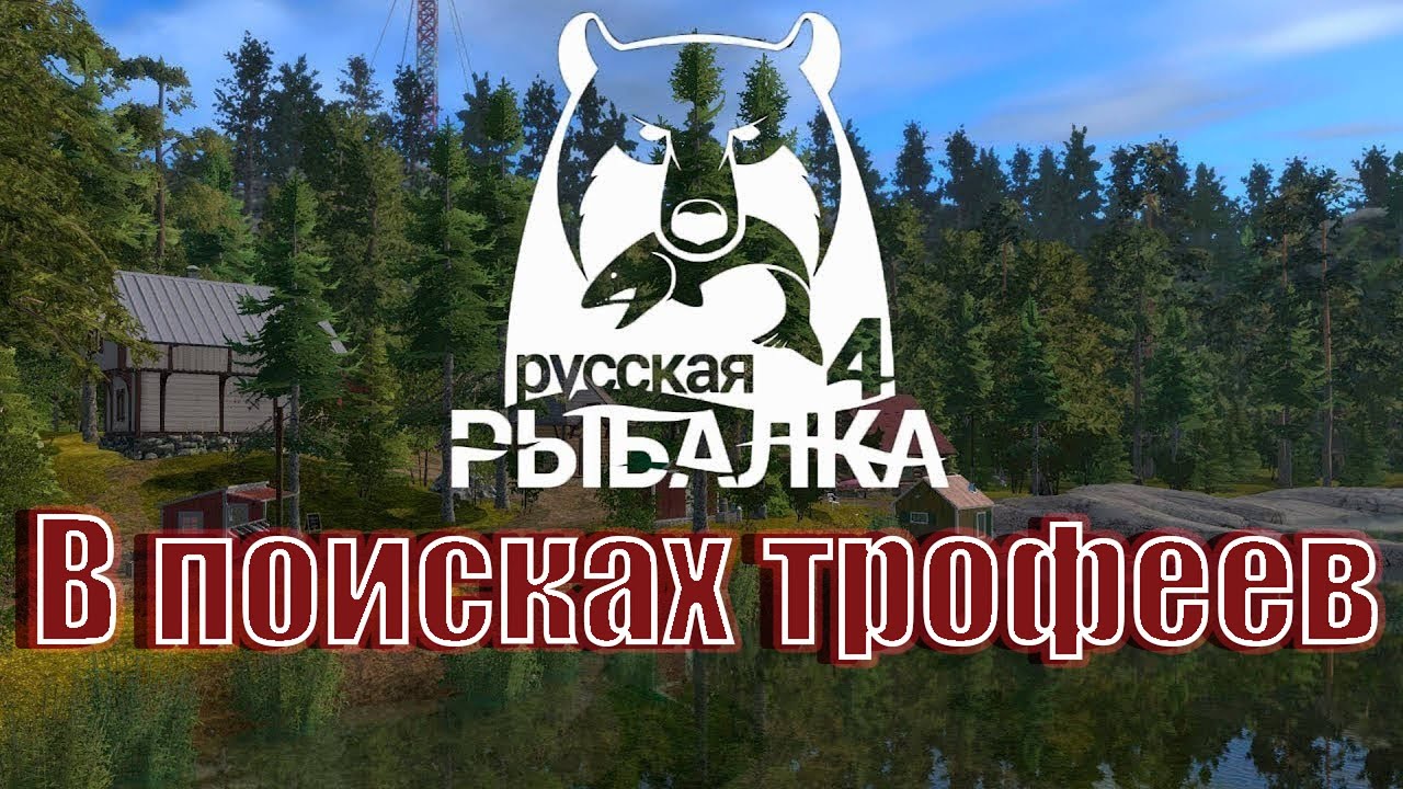 играю в РР4