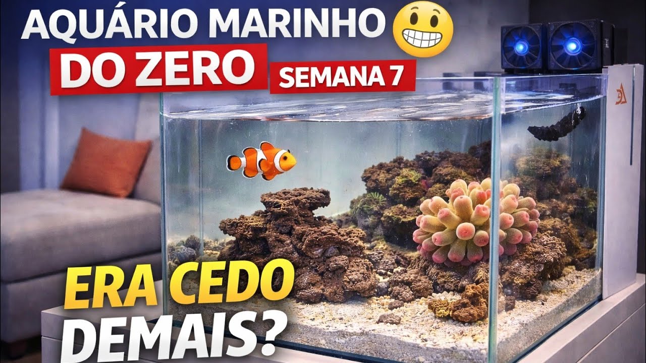 Aquário Marinho do Zero - Semana 7 | Fosfato Alto e Uma Escolha Arriscada