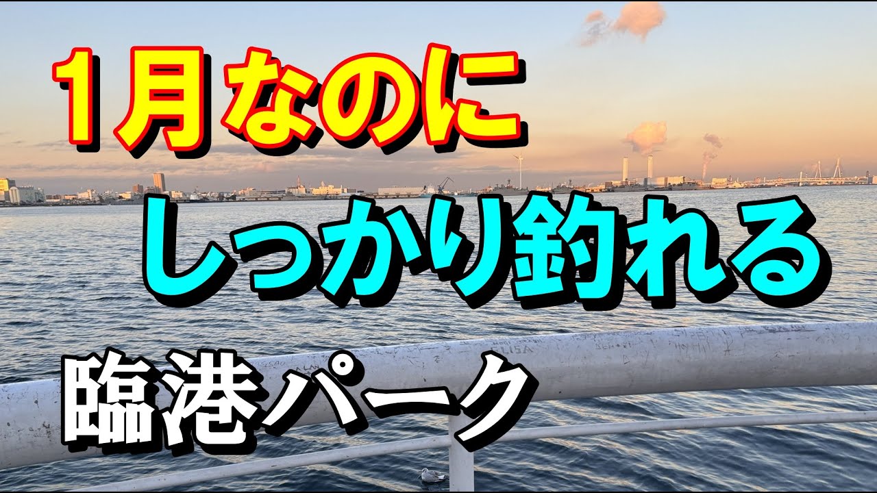 アジ釣れてます　臨港パーク　夕まずめ　横浜みなとみらい