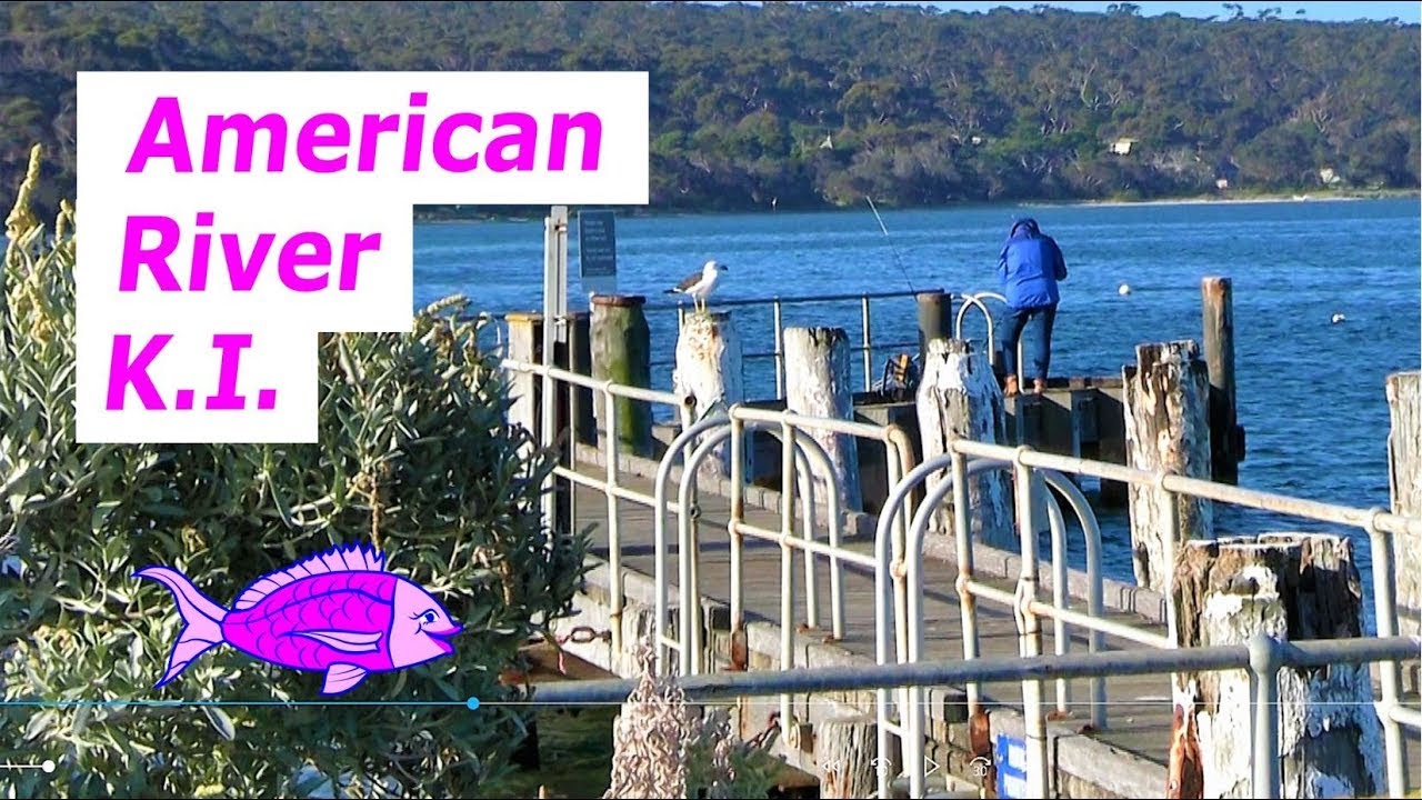 Squid fishing American River Jetty Kangaroo Island South Australia