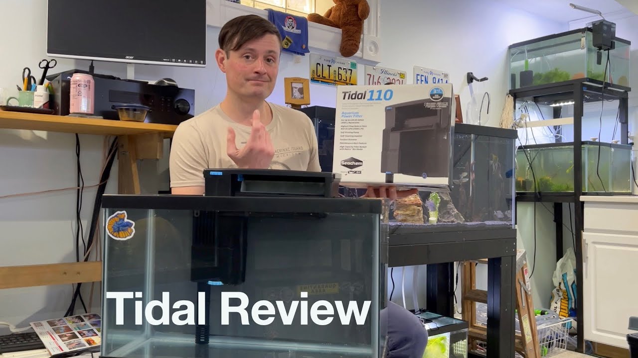 Seachem Tidal Filter Review