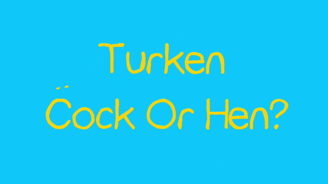 Quick Flicks ~ Naked Necks, Are Our Transylvanian Turks, (Turken) Cockerels or Hens?