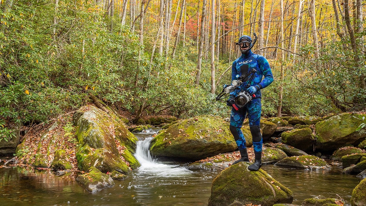 Снорклинг с ручьевой форелью в национальном парке Грейт-Смоки-Маунтинс