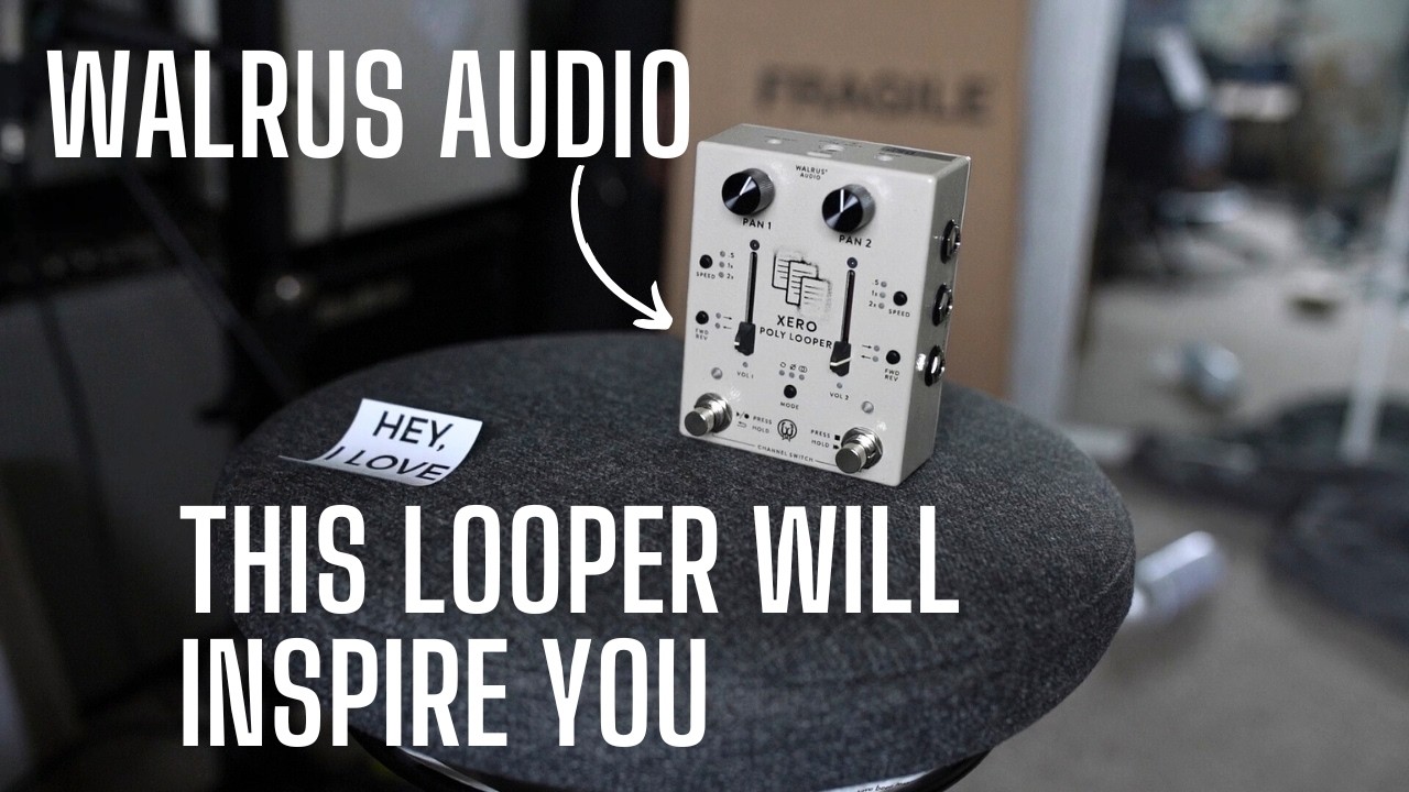 Итак, Walrus Audio создал лупер! Представляем XERO Poly Looper — СТЕРЕО MIDI и не только