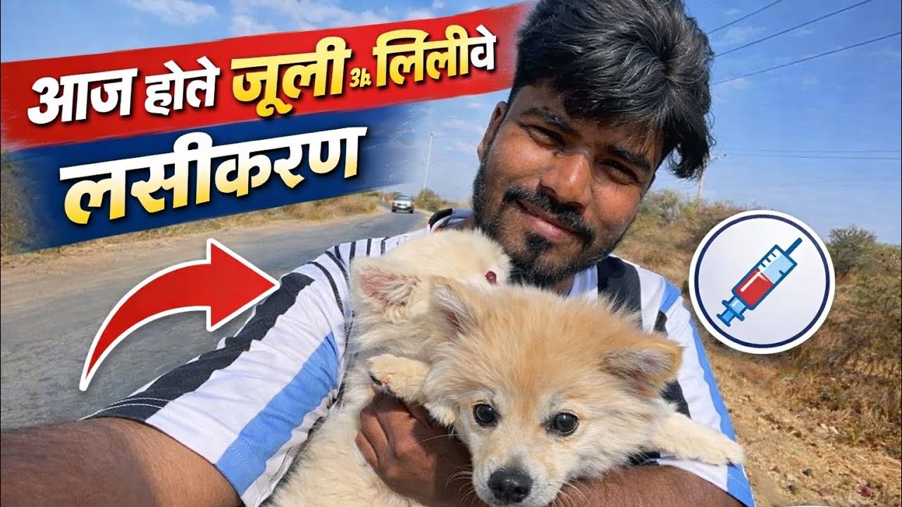 आज होते जूली आणि लिलीचे लसीकरण |😍Puppy Vaccination Vlog in Marathi and comedy 😁￼ dey 11