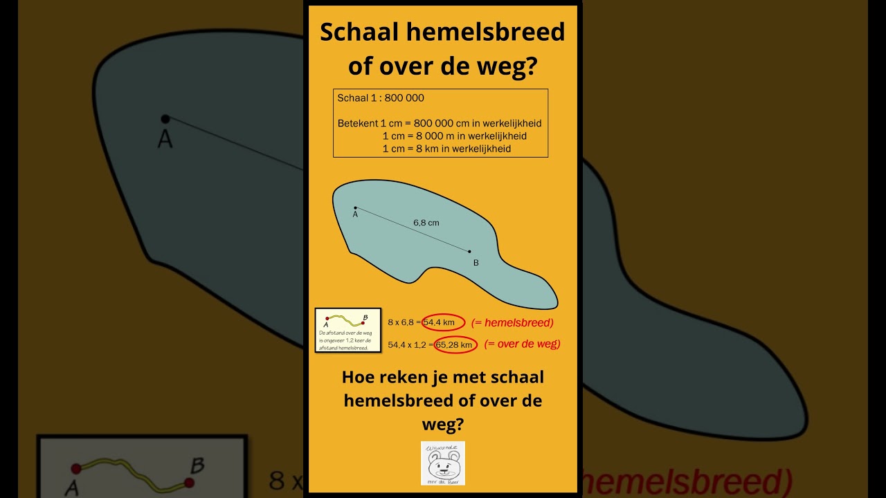 Schaal hemelsbreed of over de weg #wiskunde #wiskundebeer #meetkunde