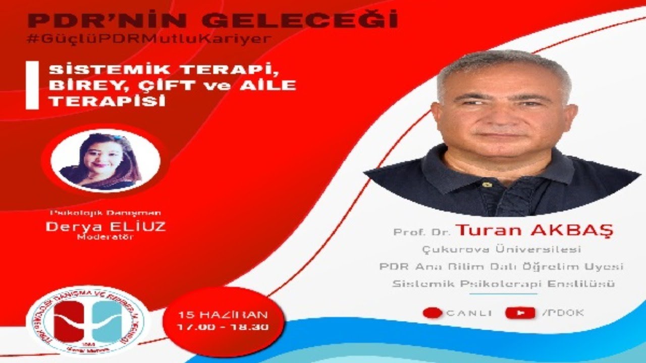 Sistemik Terapi, Birey, &Ccedil;ift ve Aile Terapisi