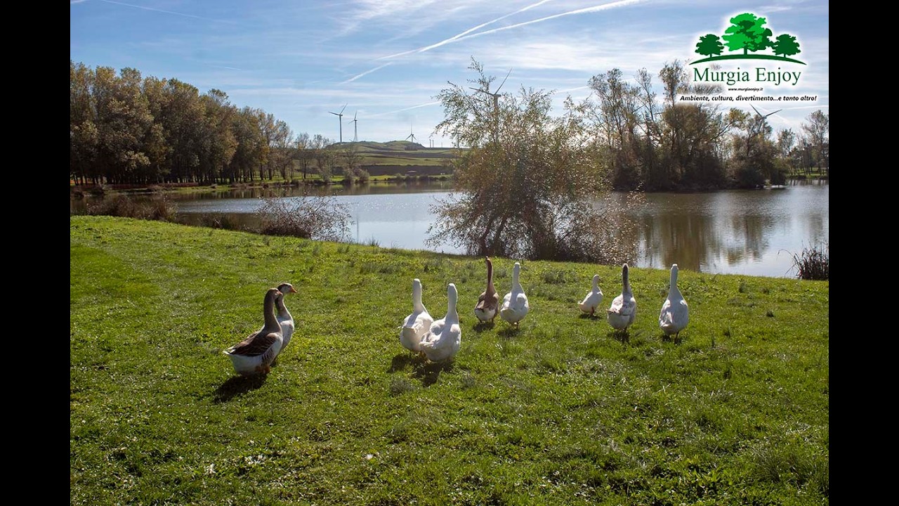 Il lago con isola fra Puglia, Campania e Molise