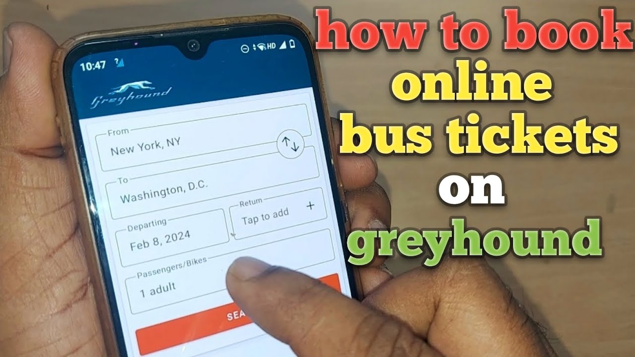 Как забронировать самые дешевые билеты на автобус онлайн на сайте Greyhound