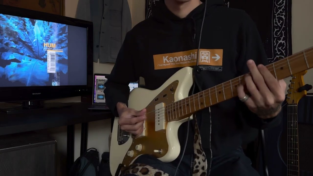 If you are to bloom - Hum (guitar cover)