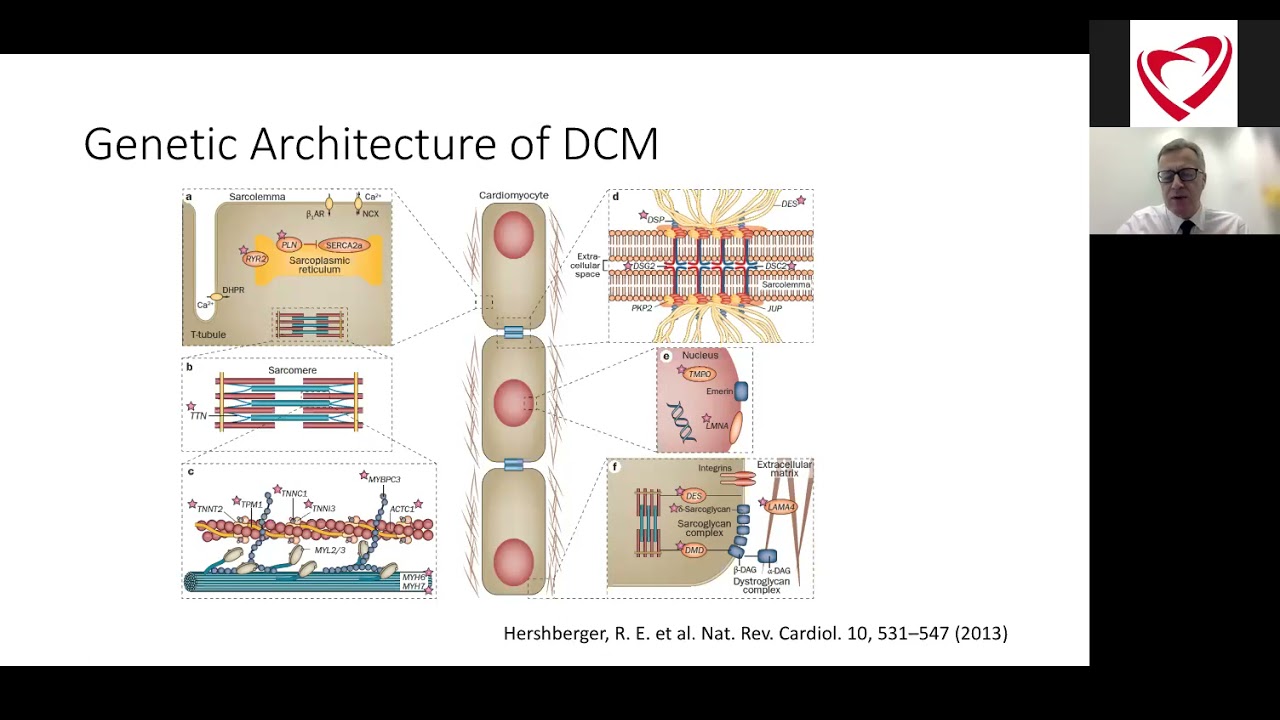 New Horizons in the Genetics of Cardiomyopathies | Perry Elliott, MD, FRCP, FACC, FESC
