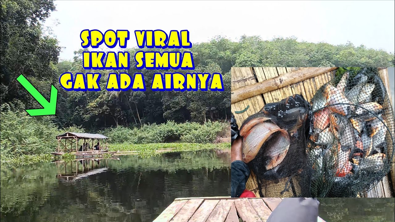 EDAN IKANNYA BESAR-BESAR SATU RAKIT BISA SAMPE 20 KG MANCING TERBARU CIRATA FISHING IN THE LAKE