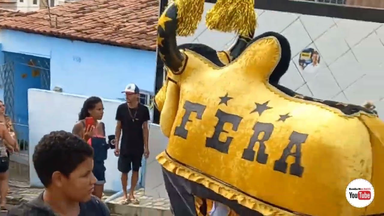 Boi Fera Rolé Completo #carnaval2022