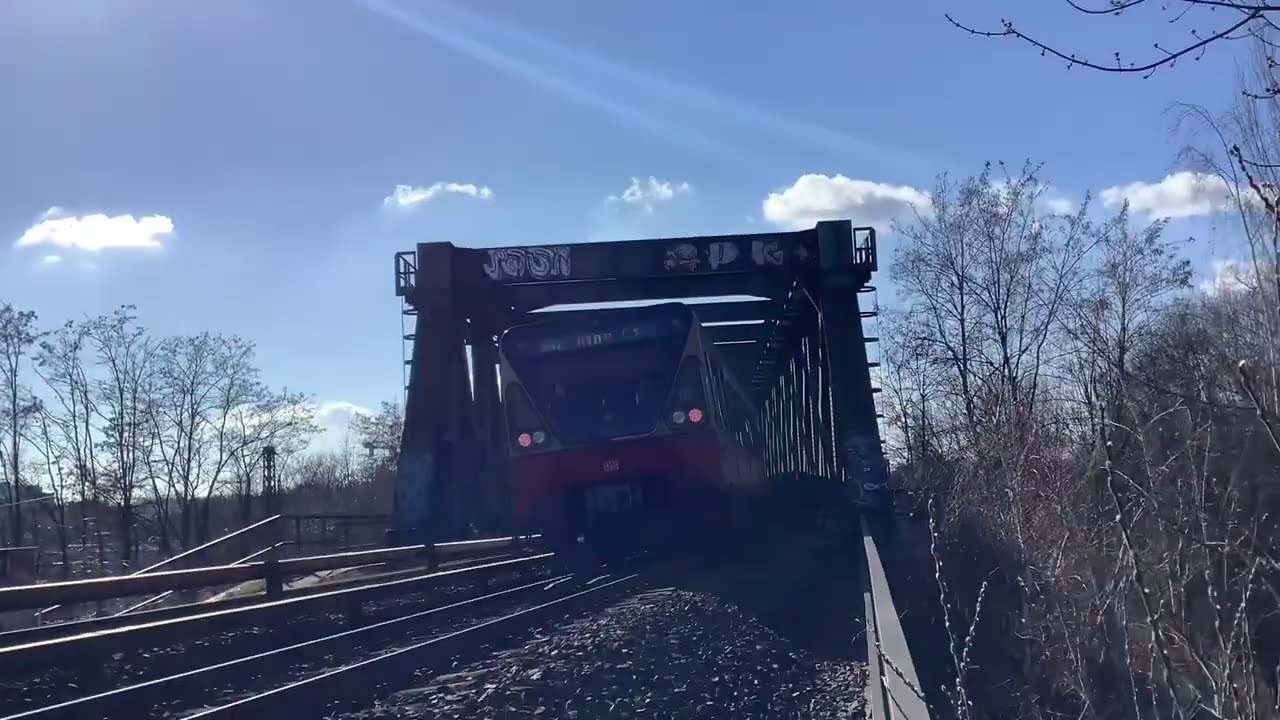 Ein Waschb&auml;r Skellet ??? Siemensbahn EXTREM ⚠️⚠️⚠️