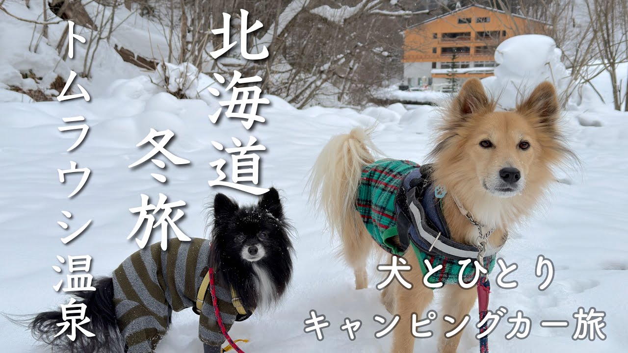 【北海道・冬❄️旅の楽しみは温泉♨️】念願の冬のトムラウシ温泉へ〜犬と私の冬の絶景・温泉をとことん！楽しむキャンピングカー旅②