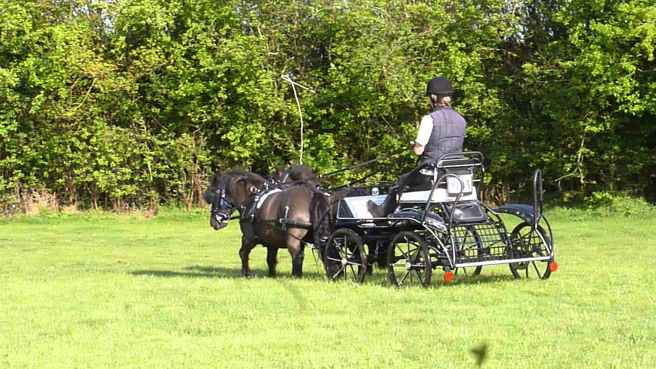 Alfie & Wally Driving 28/04/14