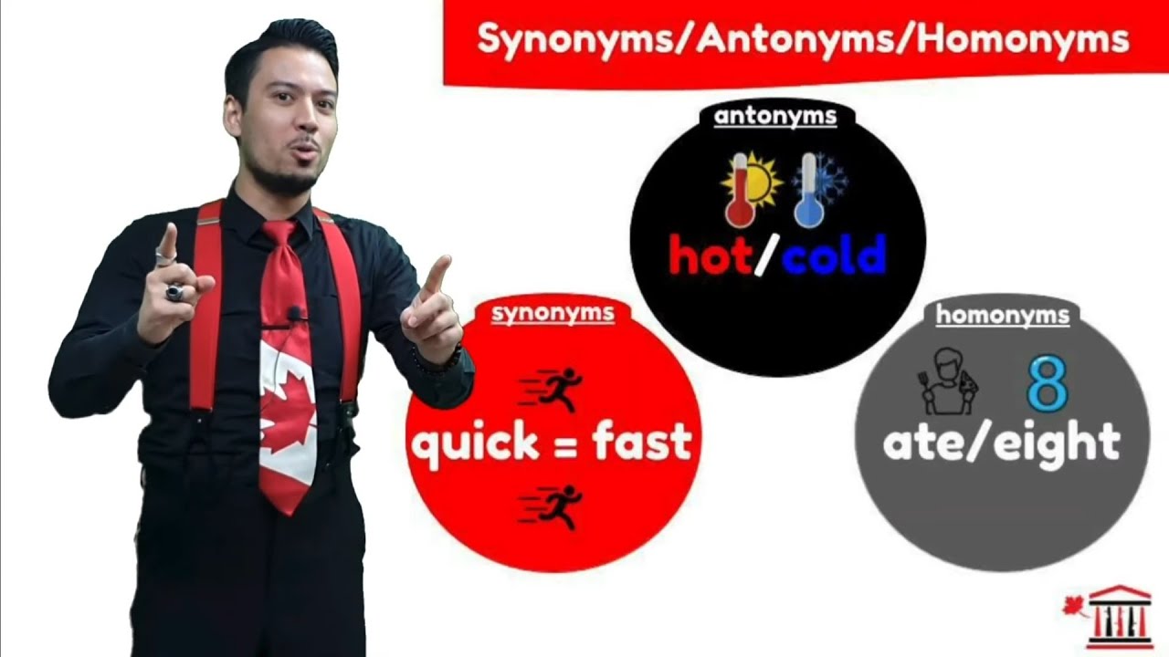 #Grammar | Synonyms/Antonyms/Homonyms Review