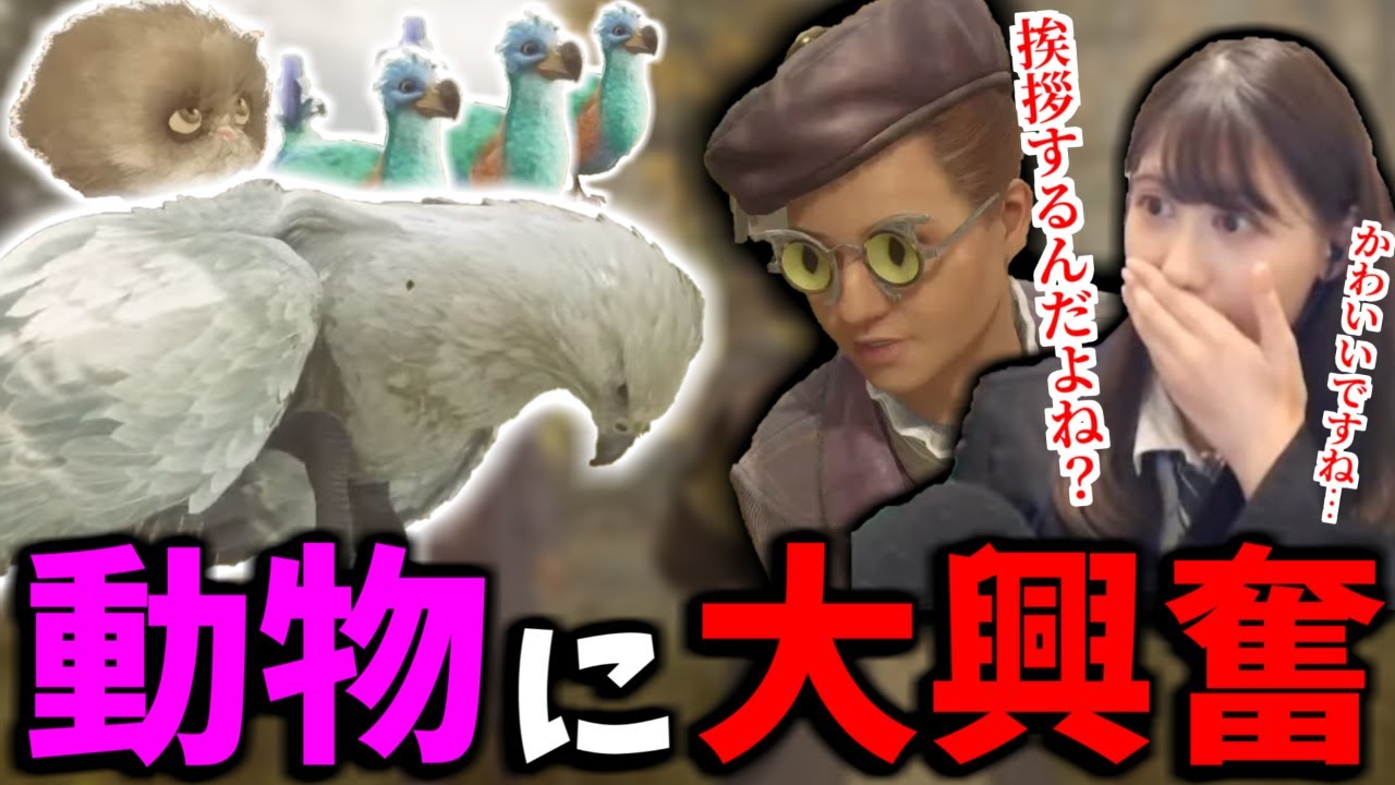 魔法生物を前に興奮を抑えられないみすみゆうかさん【ホグワーツ・レガシー/みすみゆうか/切り抜き/みすみのはらわた】