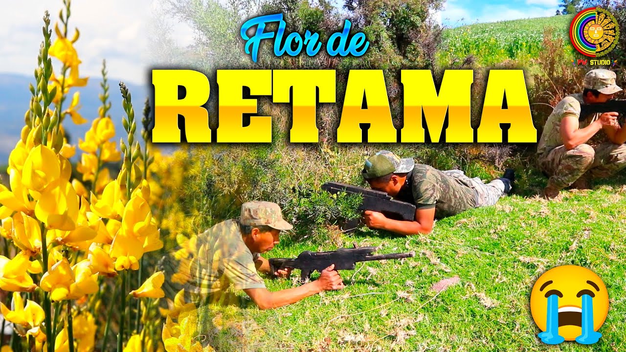 😭Flor de RETAMA, tú eres testigo de mis lágrimas😰