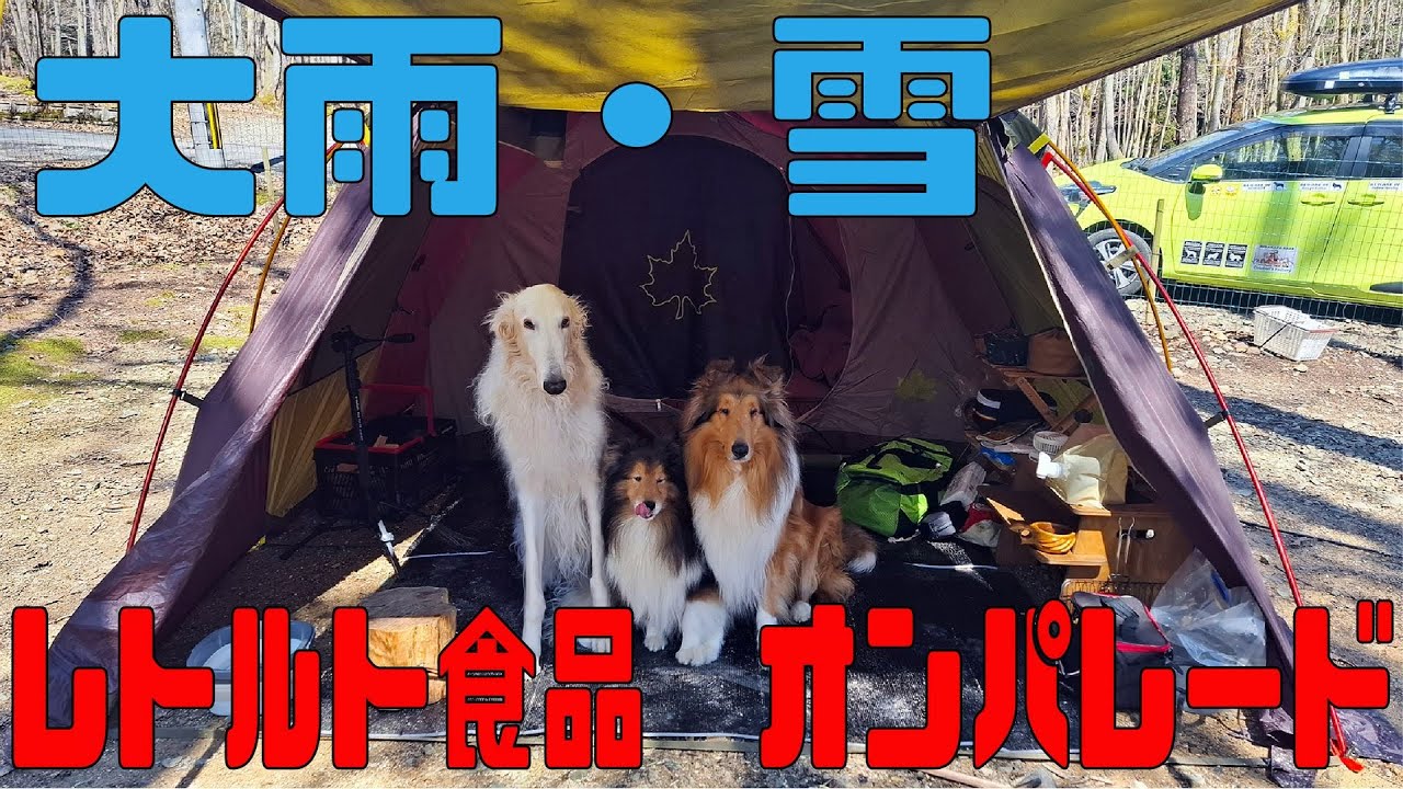 大雪・雪 大量のレトルト食品ｗ (奥琵琶湖後編)(ソロキャンプ＋ワンズ3)(Chichiri's Factory)