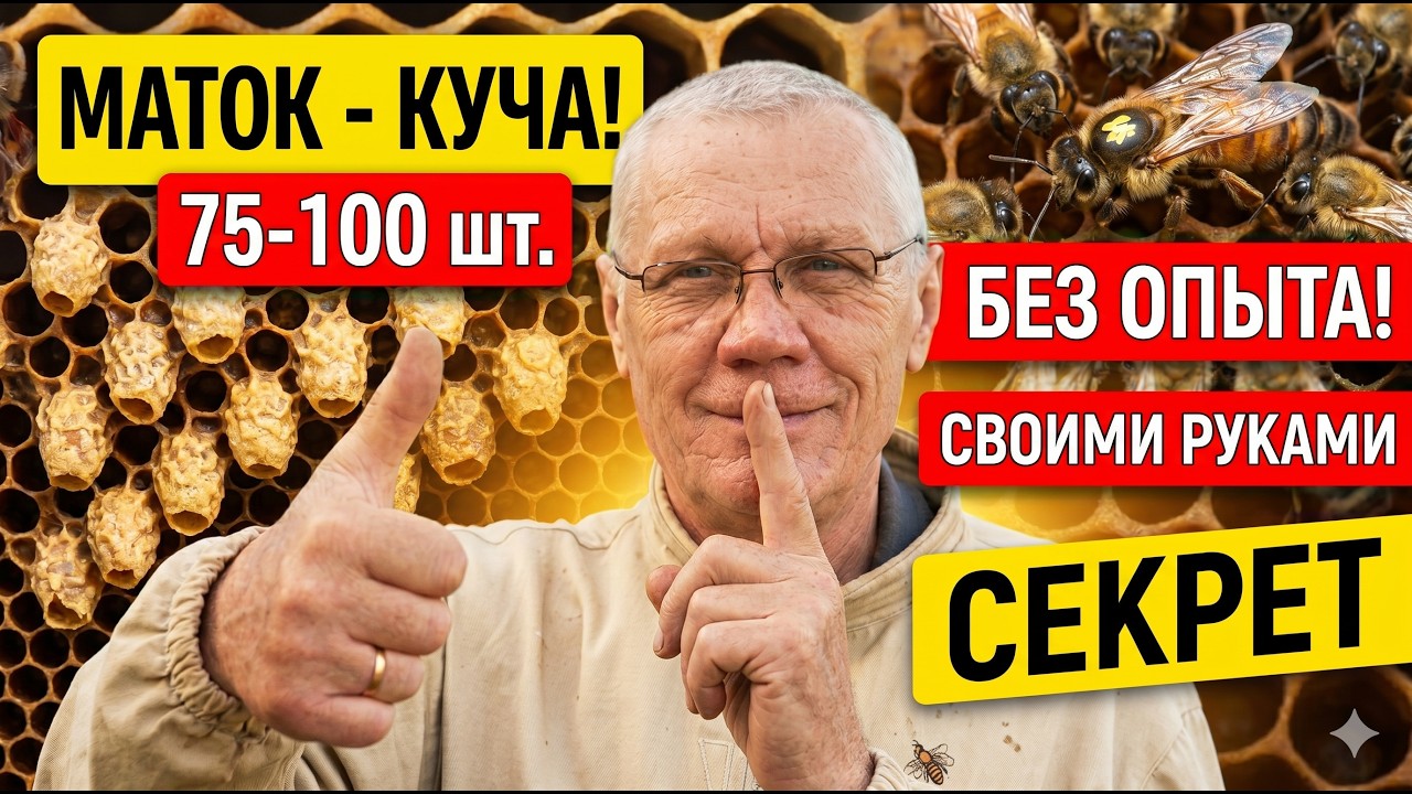Самый простой способ вывода маток. Метод Дж. Хопкинса.