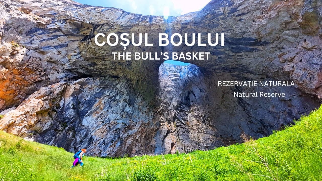 Cosul Boului de la Scarita Belioara