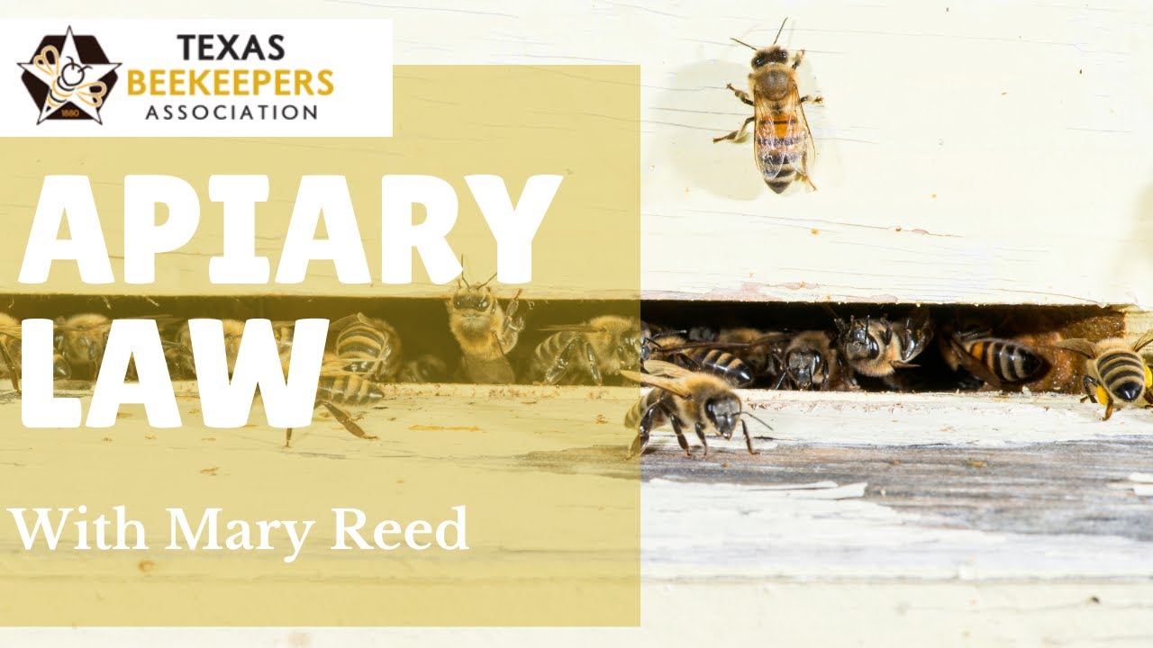 Texas Beekeeping & Apiary Law with Mary Reed