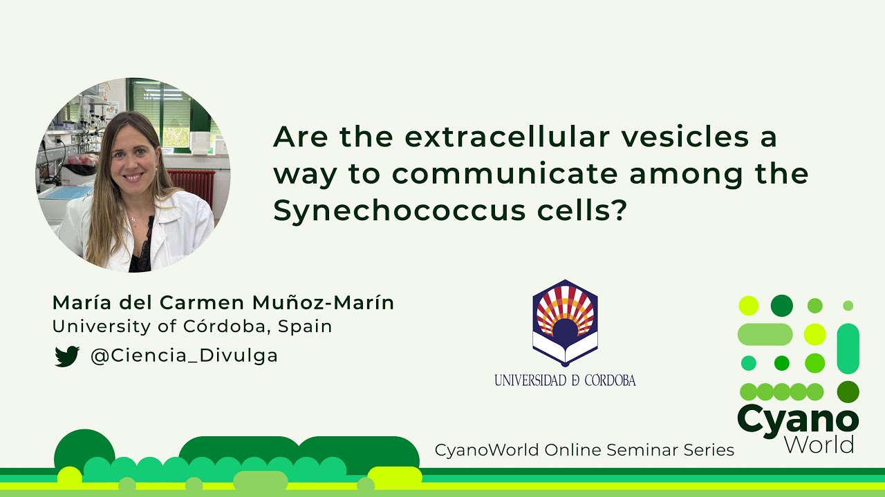 María del Carmen Muñoz-Marín | Are the extracellular vesicles a way to communicate among cells?