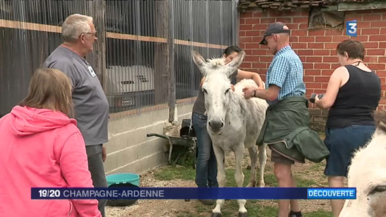 La ferme des Globe-trotteurs : Nouvelle ferme pédagogique à Géraudot (Aube)