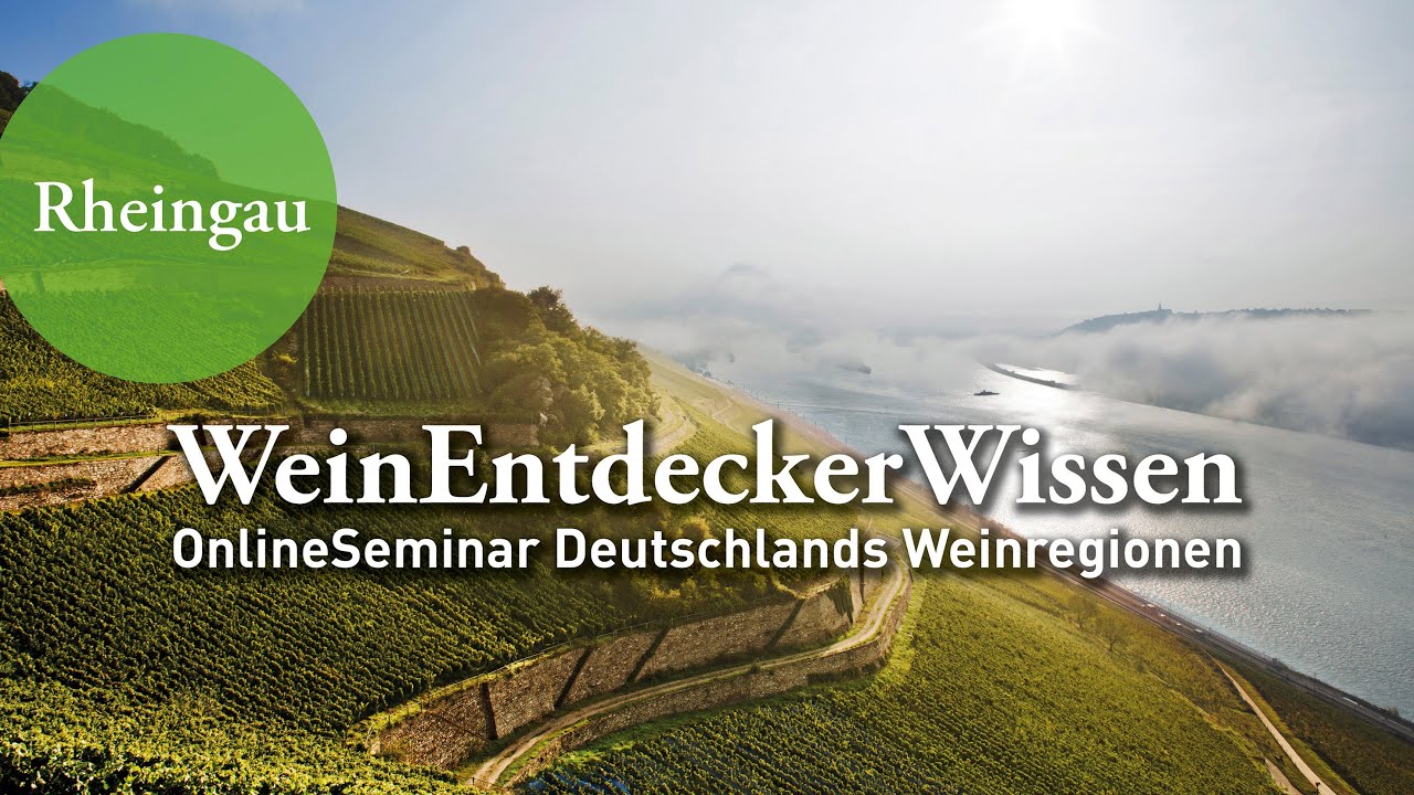 RHEINGAU – WeinEntdeckerWissen OnlineSeminar Deutschlands Weinregionen