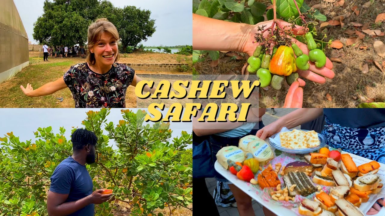 A Ghanaian Food Safari: How Much Do You Know about CASHEW in Ghana?