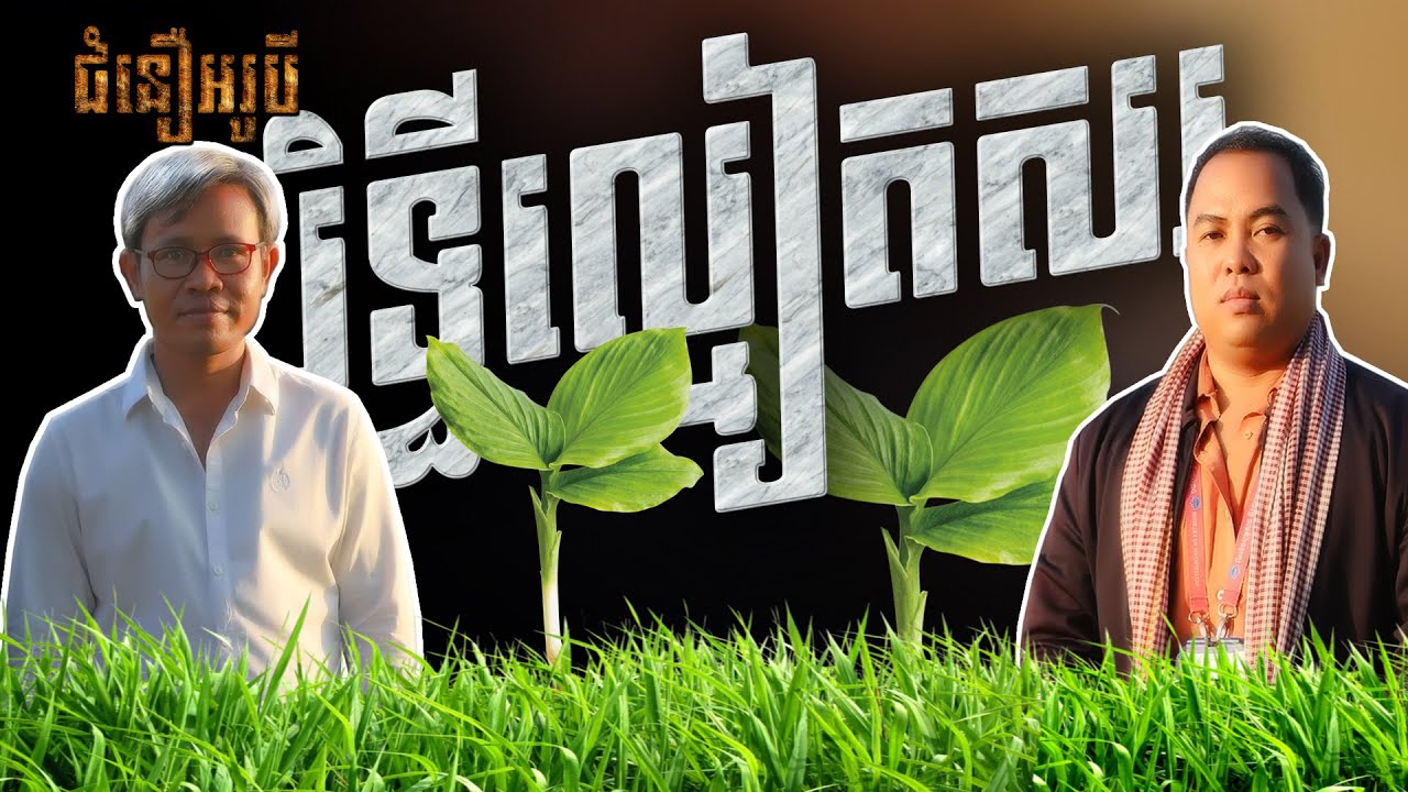 រឿងល្មៀតសរបះសក់ច្រូង