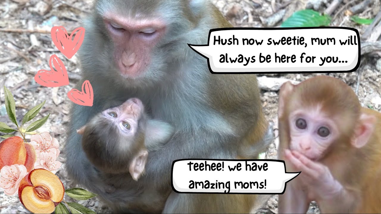 A Mother's Imprint Ep 1 | Izzy's gentle back pats 🥰 Sophia's lil girl Aurora ❤️