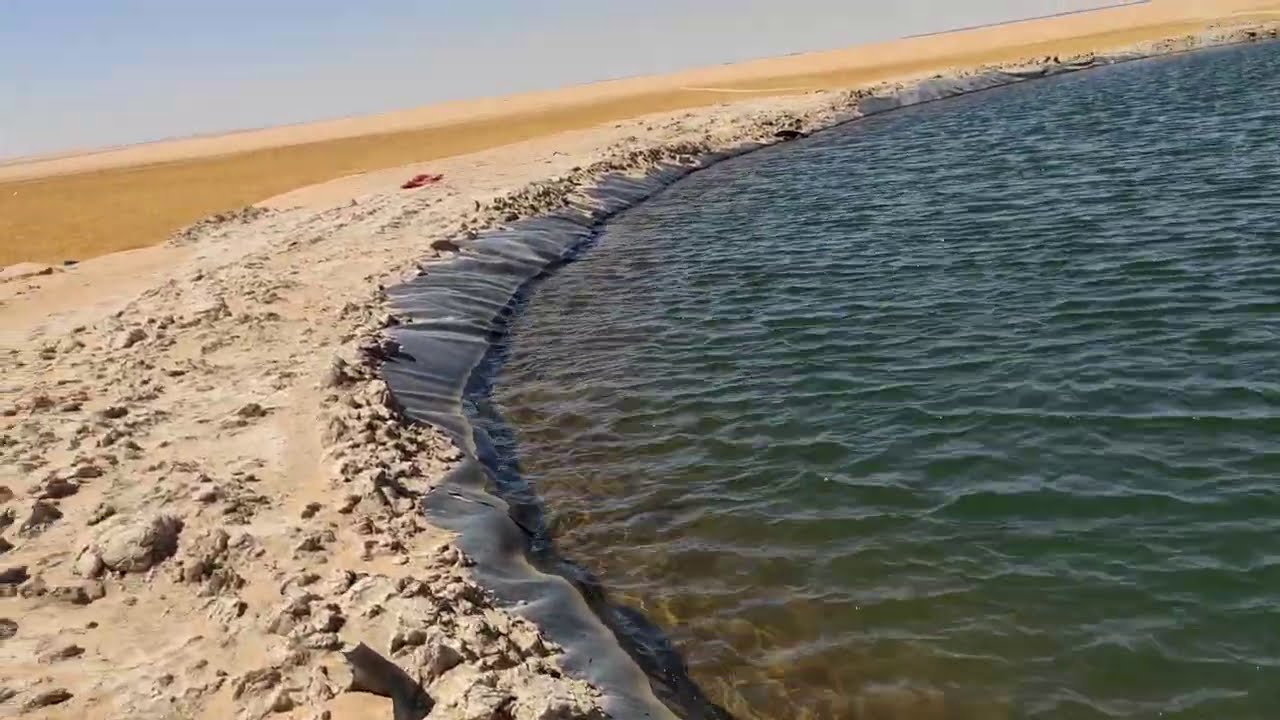 أعمل مزرعة سمك بأقل الإمكانيات في الصحراء من شركة الاصدقاء 01285052526