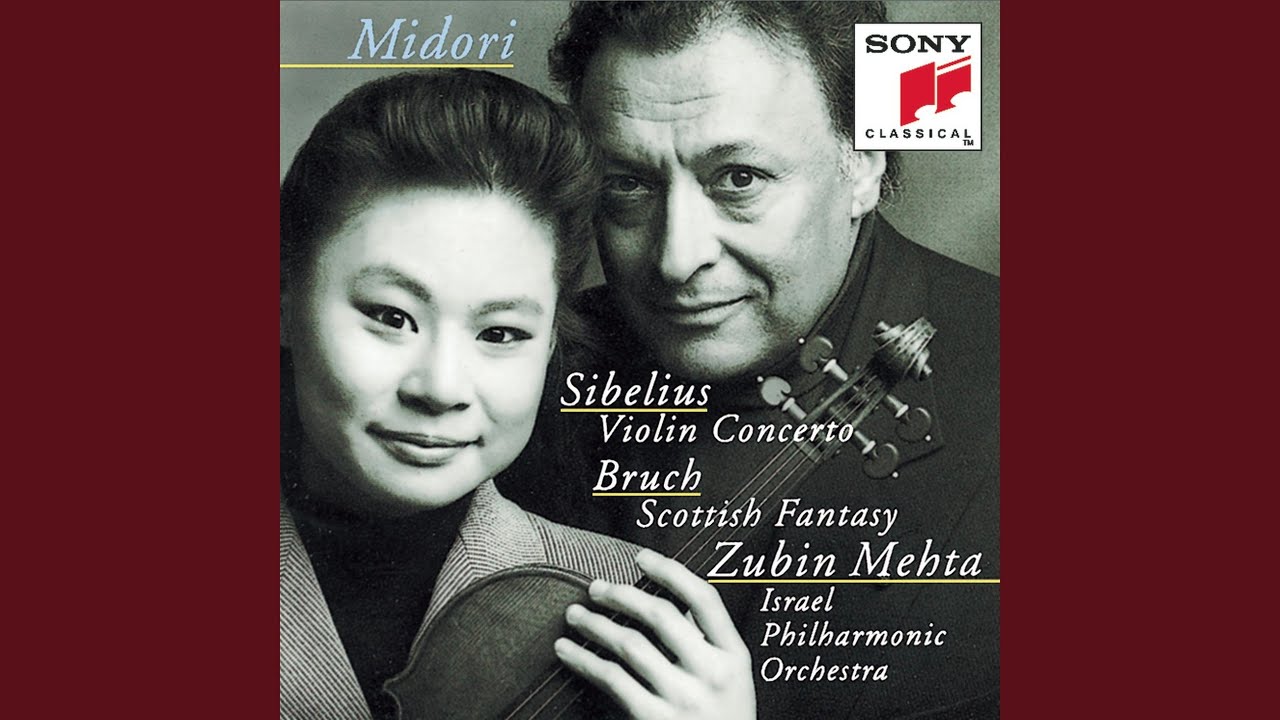 Violin Concerto in D Minor, Op. 47: I. Allegro moderato