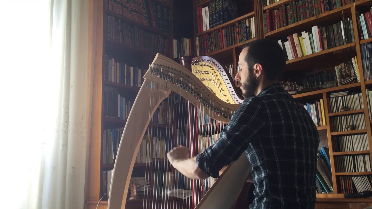 River Flows in You (Yiruma) - Fabio Rizza (Arpa Celtica)