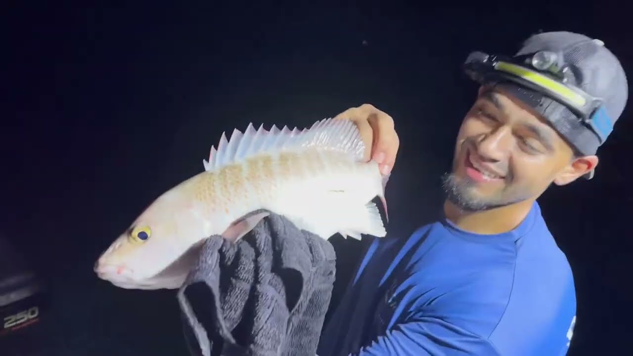 Pesca en Miami de yellowtails snapper groupers y jacks