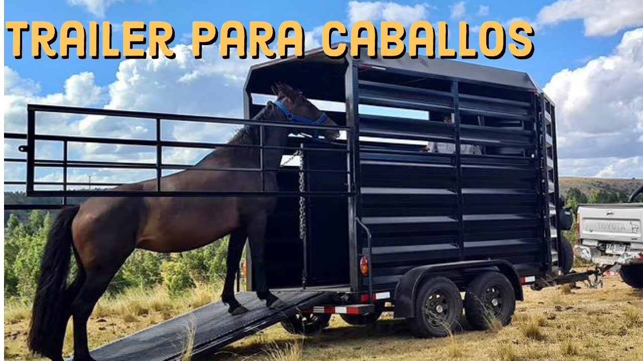 Trailer para caballos - Trailer para equinos / TRAILERSUY