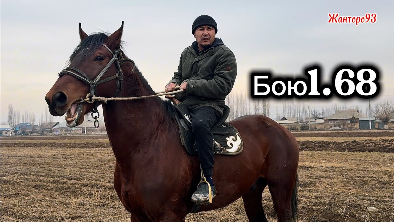 Кыргыз жылкы экен +996-508-02-06-84 9 февраля 2026 г.