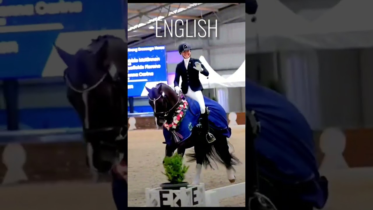 English VS Western!✨🐴#horses #fypシ #equestrians #edit #blowup #viral #goviral
