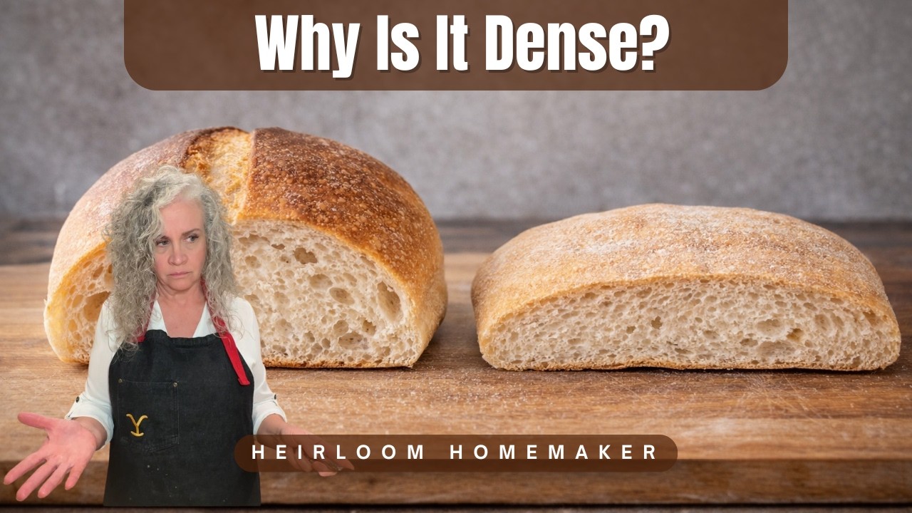 Why Your Bread Is Dense (And How to fix It)
