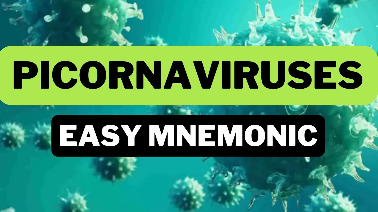 Picornaviruses - Easy Mnemonic