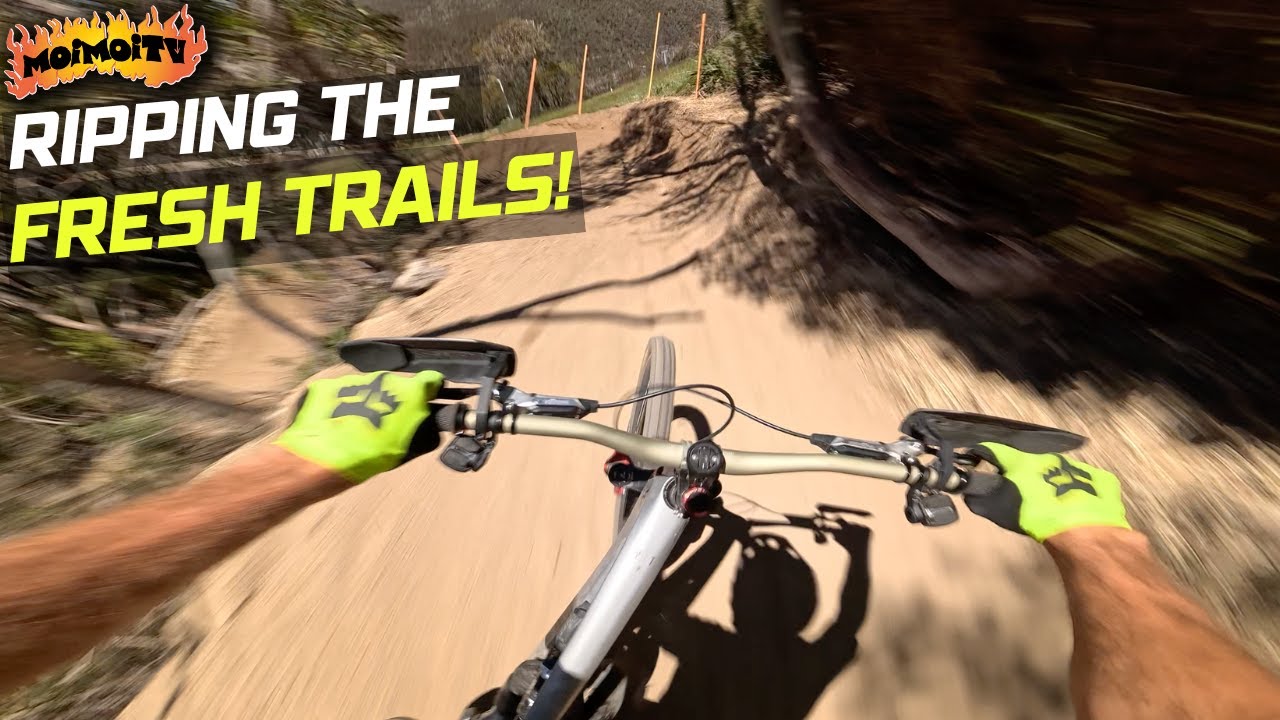 ANOTHER KILLER DAY AT THREDBO | Jack Moir |