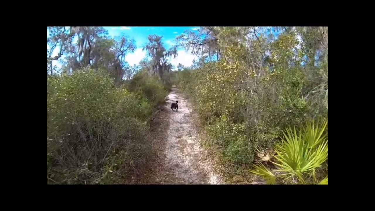 Hiking and overnight camping in the Ocala National Forest Part 1